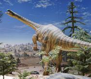 En esta imagen cortesía de Randall Irmis se muestra un modelo de plateosaurus en el Museo Estatal de Historia Natural en Stuttgart, Alemania.