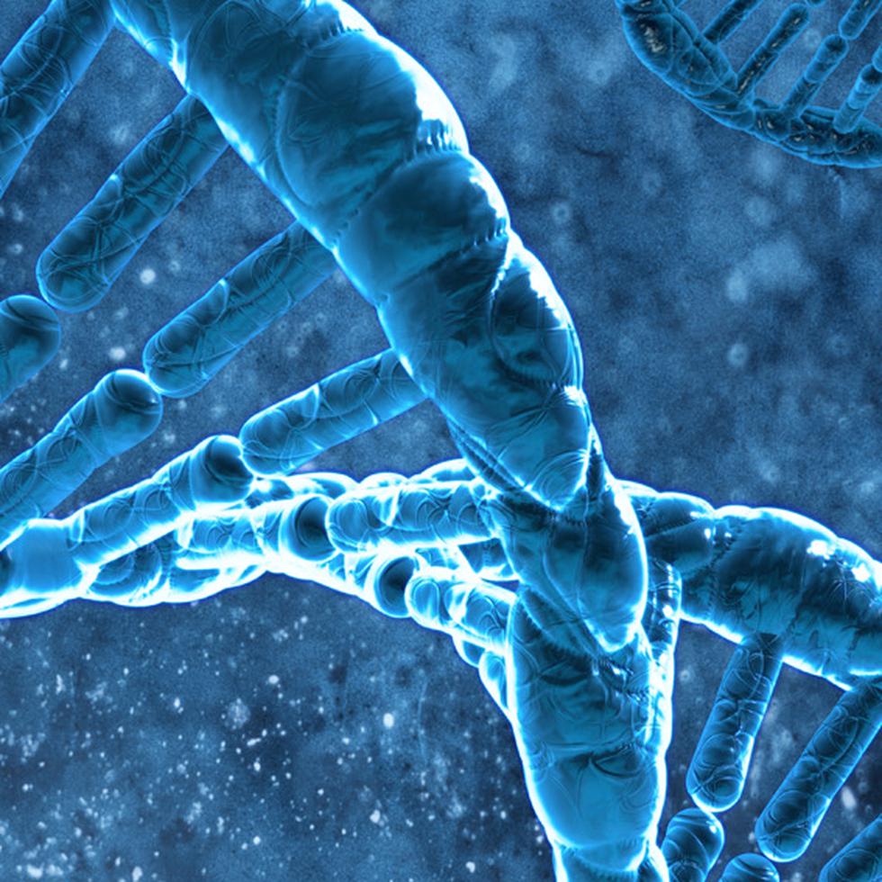 Los expertos también han indicado que puede haber más personas con la misma mutación genética y han pedido a cualquier que no sienta dolor que lo haga saber a los investigadores. (Shutterstock)