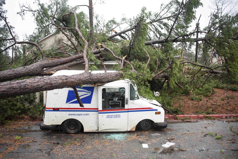 Un tornado derribó un árbol sobre una camioneta de correos. (AP)