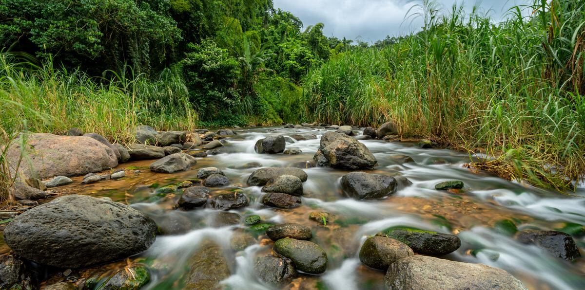 El Río Guaba, donde puedes darte un refrescante chapuzón.