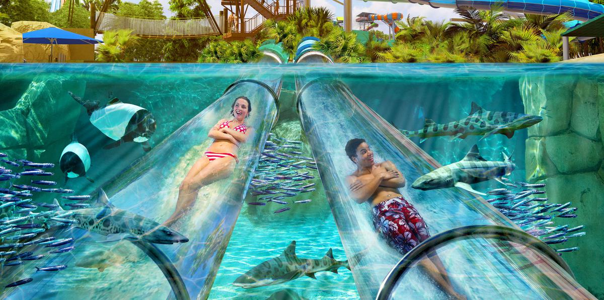 La chorrera transparente “Reef Plunge” es la nueva atracción en el parque Aquatica, en Orlando, Florida.