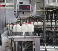 Suiza tiene el empaque de leche UHT más grande en el mercado, de 48 onzas, disponible en su versión regular y baja en grasa. (Archivo)