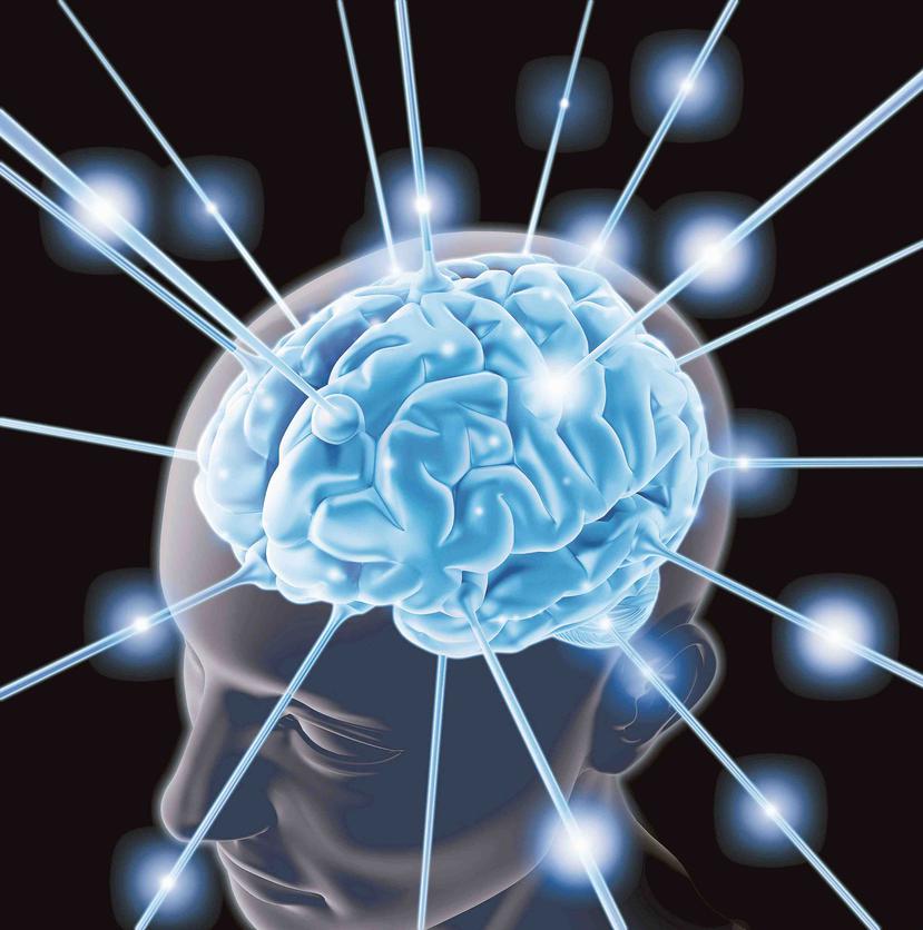 Los científicos consideran que la continuación de este tipo de estudios puede arrojar luz sobre circuitos del cerebro que integran información de eventos que tienen repercusiones emocionales. (Thinkstock)