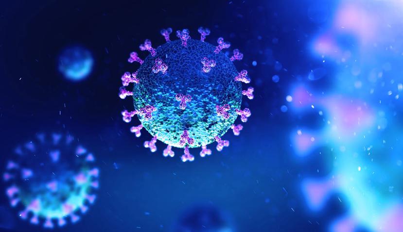 Así es el coronavirus. (Shutterstock)