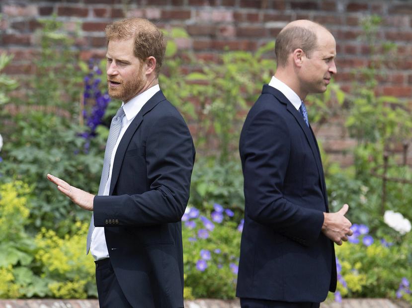 Los príncipes se encontraron el año pasado en la ceremonia en la que develaron un monumento en honor a su madre, Lady Diana.