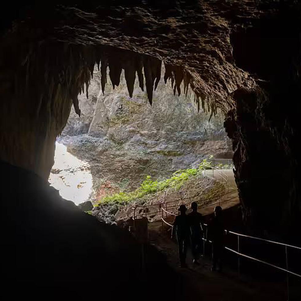 El director ejecutivo de la AAPP, Fermín Fontanés Gómez, dijo que no se dará paso a la privatización de las operaciones del Parque de las Cavernas del Río Camuy.