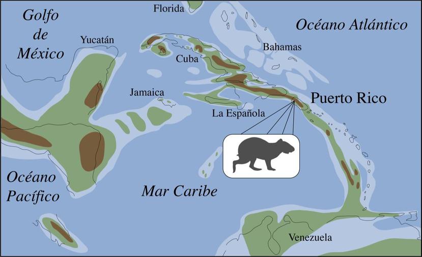 Se hipotetiza que los ancestros del “Borikenomys praecursor” y otros animales migraron hacia el norte desde lo que hoy es Venezuela. (Suministrada)