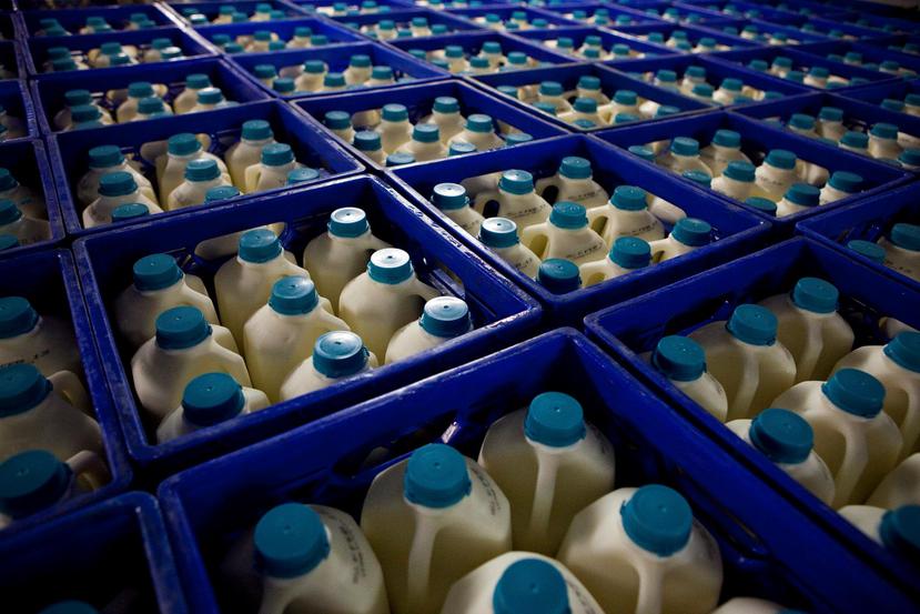 Ganaderos habían  denunciado que el decomiso de la leche se debía principalmente a la importación excesiva del producto. (GFR Media/Archivo)