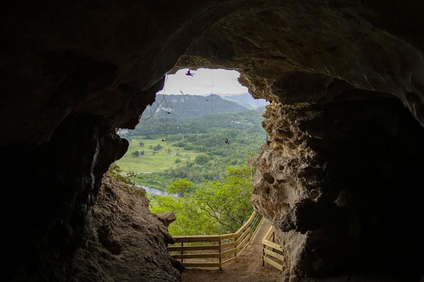 Cueva Ventana es una impresionante cueva que alberga una diversidad de especies de plantas y animales.