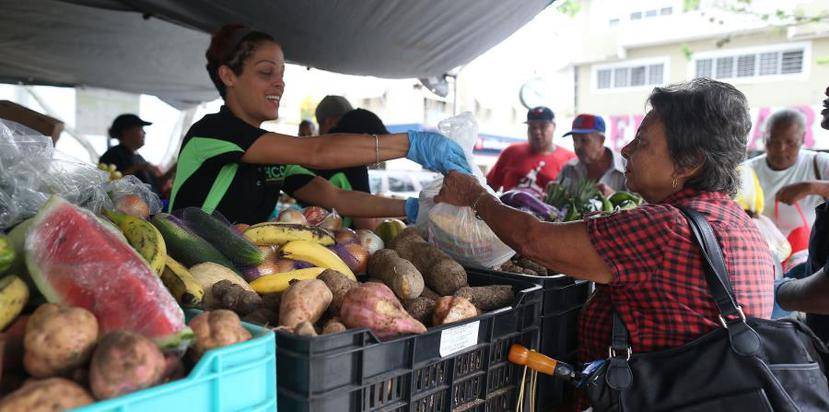 Los Mercados Familiares conectan a recipientes del PAN y de WIC con el agro local, para que puedan comprar alimentos frescos y de alto valor nutricional.