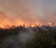 El incendio forestal en Barceloneta ya fue controlado, según indicó el Cuerpo de Bomberos.