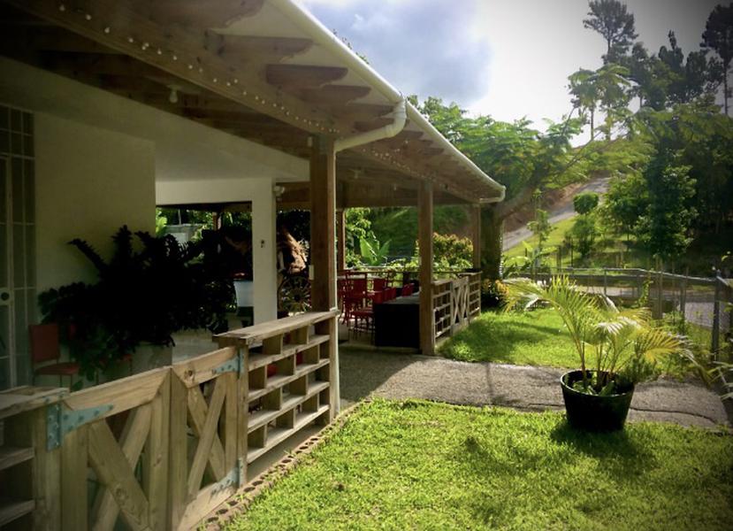 Finca Yararí ubica en el pueblo de Jayuya, y cuenta con una cabaña para alquiler a través de la plataforma Airbnb. Allí se ofrecen recorridos de 90 minutos de viernes a domingo, para conocer los árboles y plantas que se cultivan y cosechan.