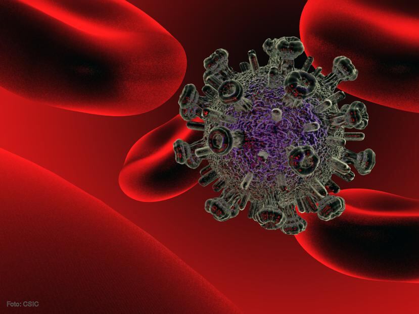 Recreación del virus del VIH. Imagen cedida por el Consejo Superior de Investigaciones Científicas (CSIC).