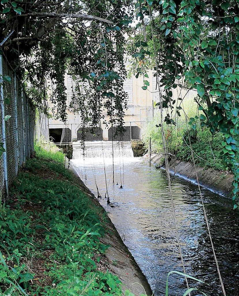 Los canales de riego afectados son los que están y que se suplen del agua que proviene del Lago Guajataca, (GFR Media)