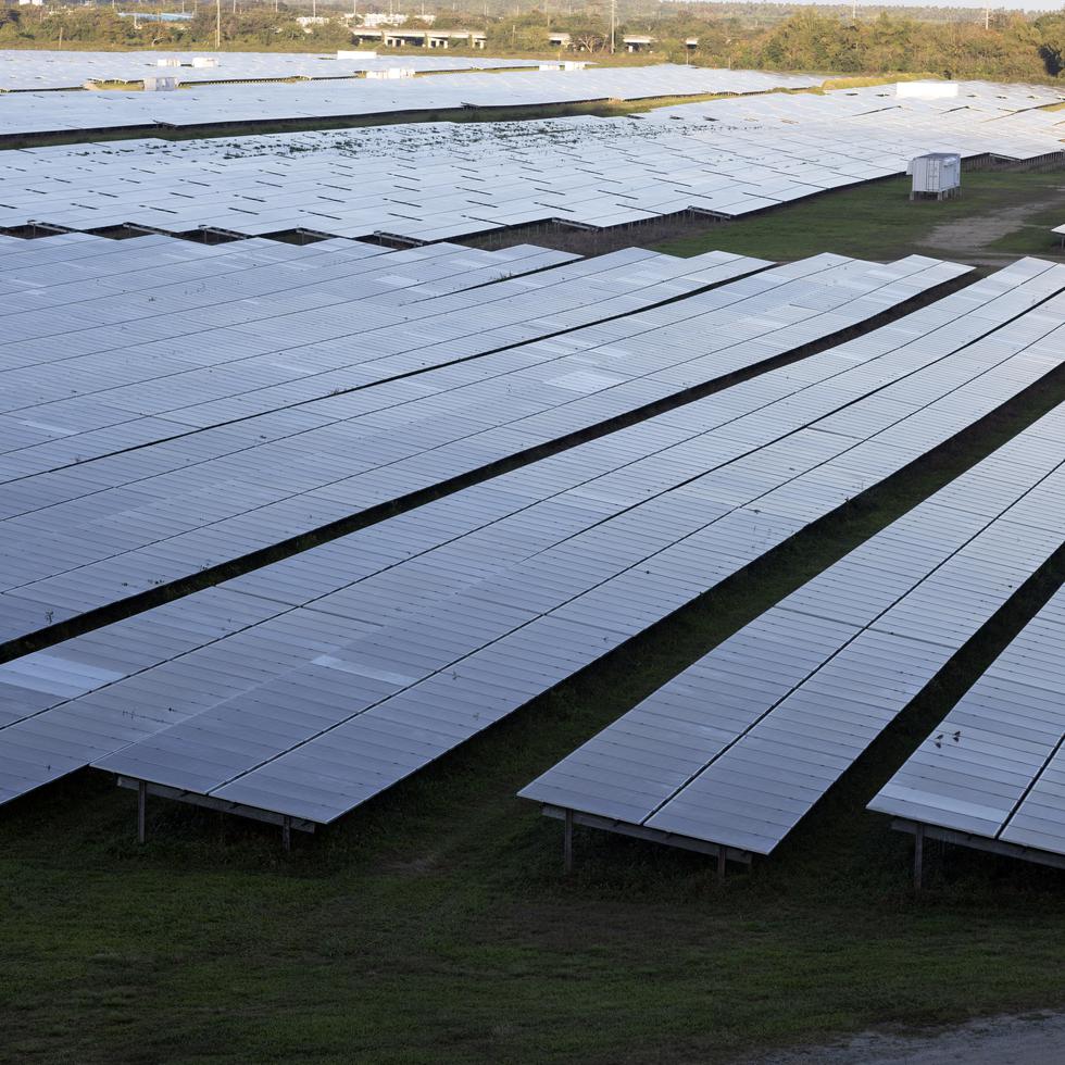 La mayoría de las fincas solares correspondientes a la primera ronda de adquisición ordenada por el Negociado de Energía se ubican en pueblos del sur del país.