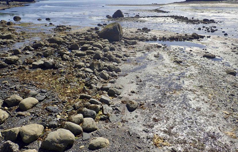 Los arqueólogos creen que la trampa de piedra fue utilizada hasta hace unos 500 años, por lo que se uso pudo extenderse por miles de años. (Patrick Saltonstall /Alutiiq Museum via AP)