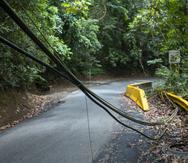 El Nuevo Día encontró cientos de cables y postes abandonados en la carretera PR-176, en el barrio Cupey Alto, en San Juan.