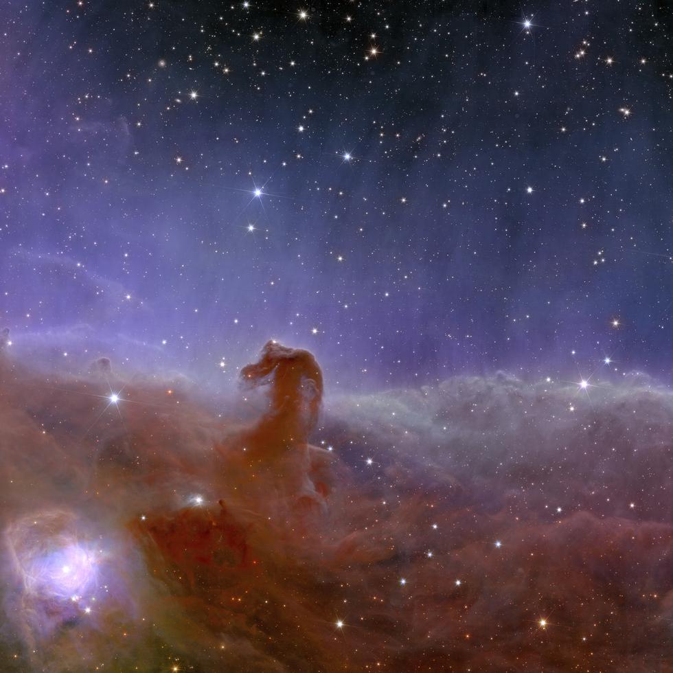 Imagen tomada por el telescopio espacial Euclid de la Agencia Espacial Europea, que muestra a la Nebulosa “Horsehead”.