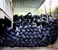 José Merced, empleado de Gomera Los Gemelos donde hay 300 neumáticos acumulados porque no los recogen hace dos meses, contó que “estamos comprando galones de cloro” para rociar las gomas y eliminar huevos de mosquitos.