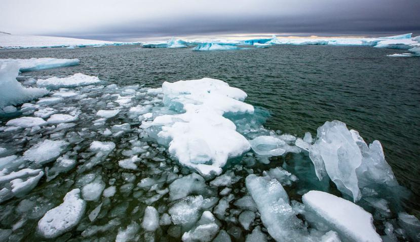 El hielo marino afecta los ecosistemas locales, los patrones climáticos regionales y globales, y la circulación de los océanos (Shutterstock).