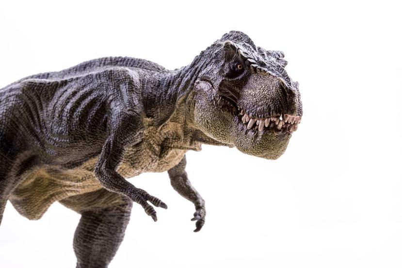 La especie de “Thanatos Theristes”  es un pariente cercano de otras especies de tiranosaurios. (Archivo/Shutterstock)
