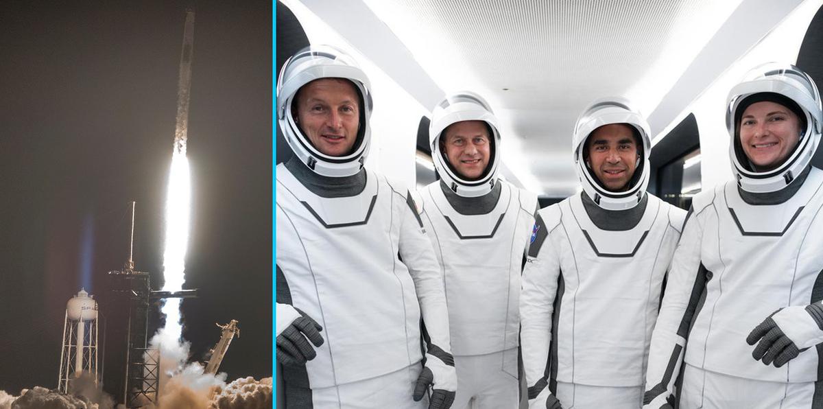 Estudian la flora intestinal de cuatro astronautas en el espacio