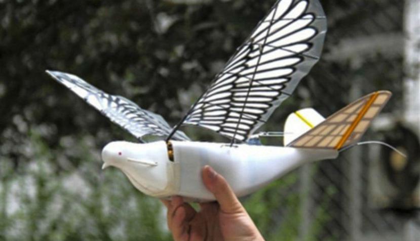 Cada ave robótica mide 20 pulgadas de largo y puede volar a una velocidad de hasta 25 mph (YouTube/Alisalepluscom)