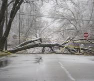 Una tormenta de hielo genera daños en el vecindario Milwood en Kalamazoo, Michigan.