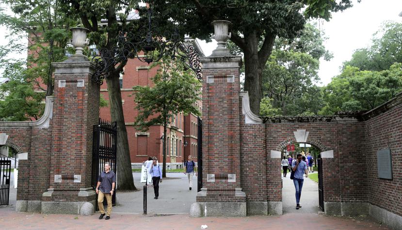 La entrada de la Universidad de Harvard en Cambridge, Massachusetts, el 13 de agosto del 2019.  (AP Photo/Charles Krupa, File)
