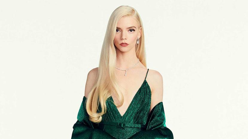 La actriz y modelo estadounidense de origen británico-argentino lució un vestido firmado por Dior. (Instagram)