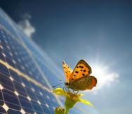 Los sistemas solares son una alternativa ecoamigable, pues no tienen un impacto ambiental.