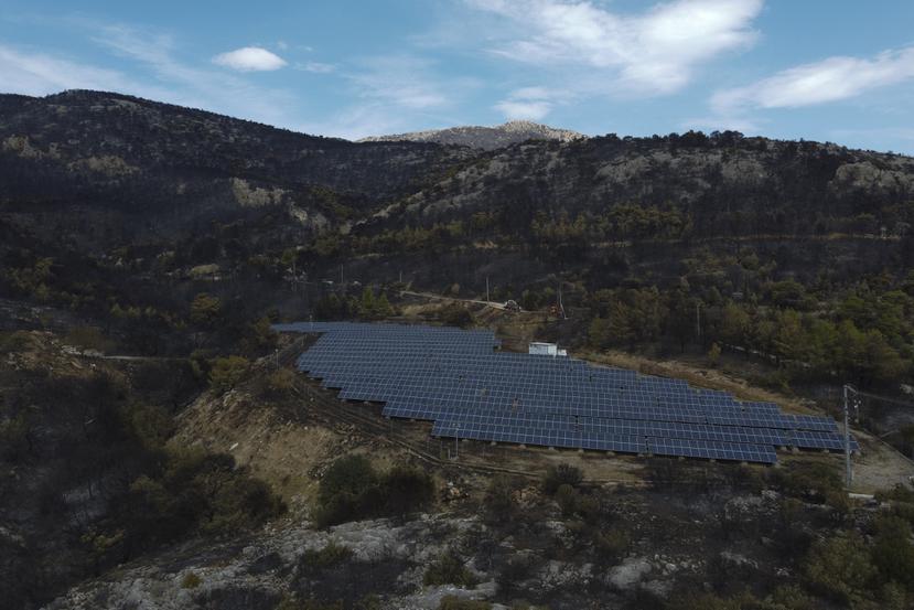 En la imagen, paneles solares vistos cerca de un bosque quemado en el suburbio de Acharnes, en el monte Parnitha, en el noroeste de Atenas, Grecia, el 27 de agosto de 2023. (AP Foto/Michael Varaklas)