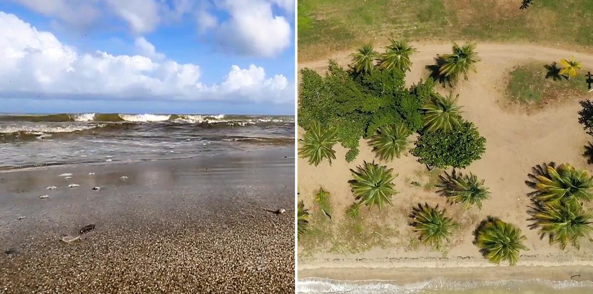 ¿Qué son los enterococos? La playa boricua con el agua más contaminada