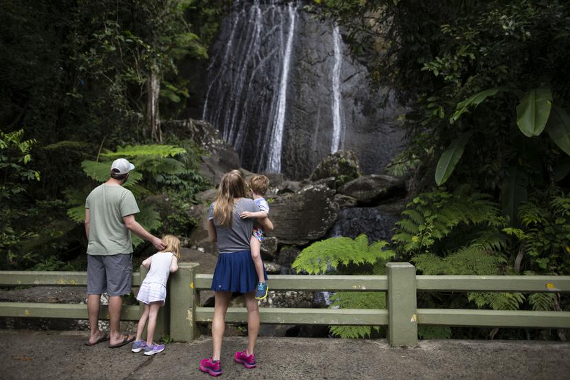 Para visitar el bosque nacional El Yunque tienes que hacer una reservación