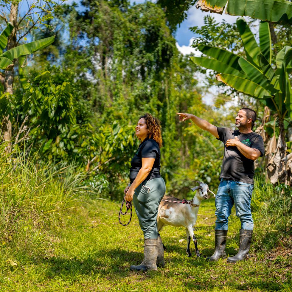 Sofía Miranda Rojas y su esposo, Jordan Martínez Morales, establecieron sus propios cultivos, a través de la Finca Agroecológica Bohití.