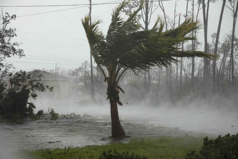 La imagen muestra la fuerza de los vientos del huracán Dorian durante su paso por Gran Bahama. (AP / Tim Aylen)