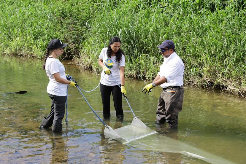 Para colectar microplásticos en el agua, los voluntarios del Programa del Estuario de la Bahía de San Juan utilizan una herramienta conocida como “manta trawl” que les prestó la Agencia federal de Protección Ambiental (EPA, en inglés). (Suministrada)