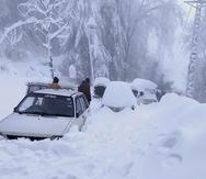 Algunos de los vehículos atrapados por la fuerte nevada que cayó en Afganistán.