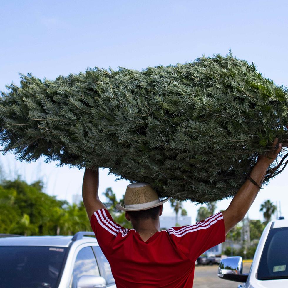 . Una muestra de ello es el auge por conseguir un árbol de Navidad, que escaseaba para las navidades pasadas.