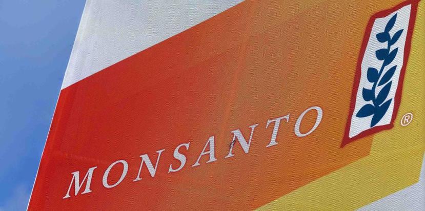 Los abogados de los demandantes dijeron que el gerente de toxicología de Monsanto y su jefe eran autores fantasmas de dos de los informes. (AP)