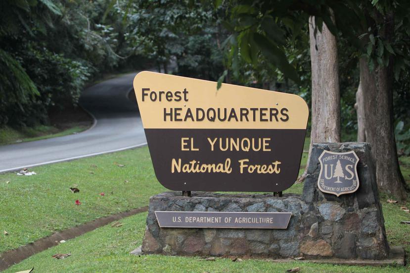 Entrada al Bosque Nacional El Yunque. (GFR Media)