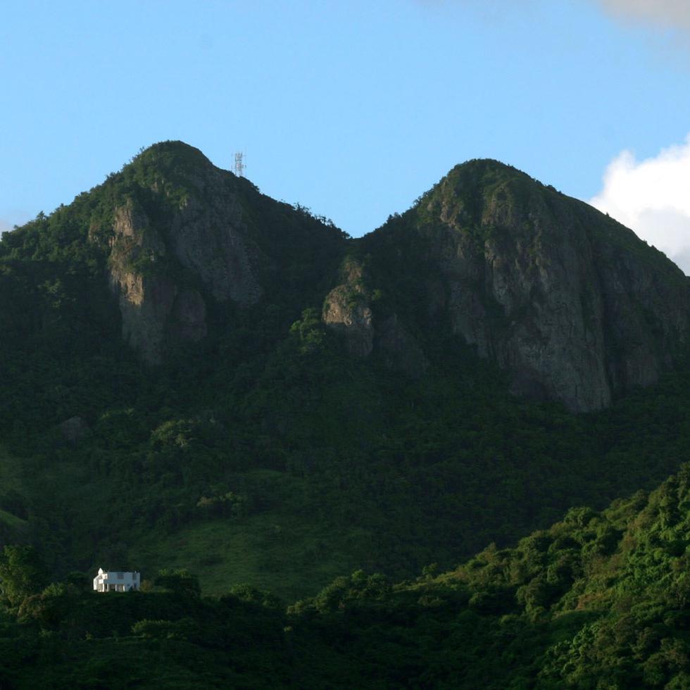 Imagen de archivo de un par de montañas conocidas como las "Tetas de Cayey".