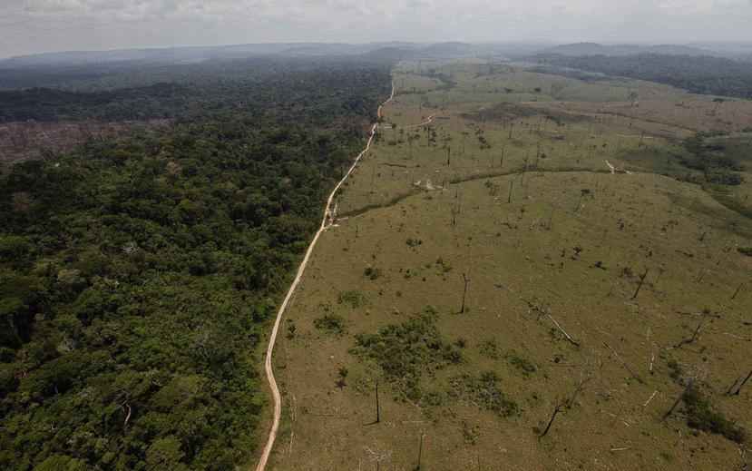 En esta fotografía del 15 de septiembre de 2009 se muestra una zona deforestada cerca del estado norteño de Para, en Brasil. (AP/Andre Penner, Archivo)