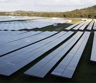 Humacao, Puerto Rico, Marzo 02 2023 — Vista parcial  de paneles solares de Humacao Solar Proyect. Donde una vez fue una finca agrícola. FOTO POR:  xavier.araujo@gfrmedia.comXavier Araujo / GFR Media
