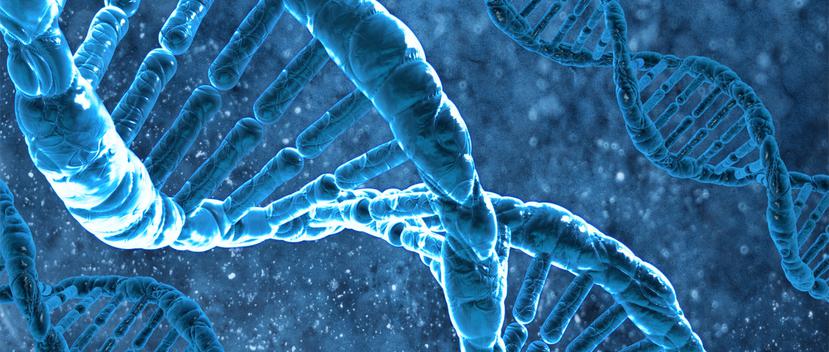 Los expertos también han indicado que puede haber más personas con la misma mutación genética y han pedido a cualquier que no sienta dolor que lo haga saber a los investigadores. (Shutterstock)