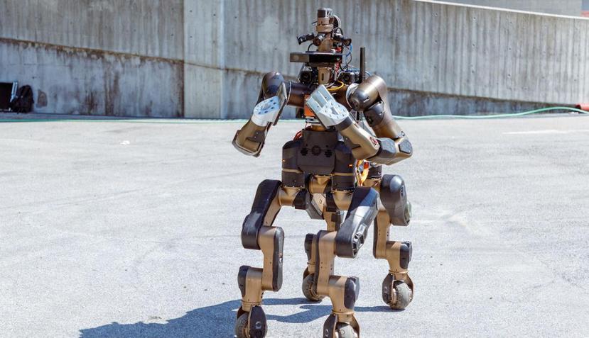 Con cuatro ruedas en las patas y dos brazos Centauro es más rápido, flexible y potente que un robot tradicional. (Fuente / Instituto Italiano de Tecnología)