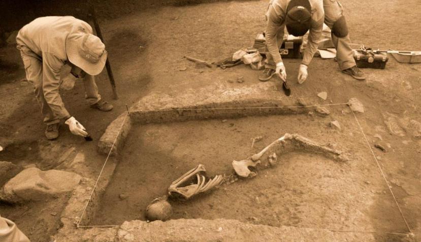 En uno de los entierros se muestra la osamenta completa de un individuo joven, quien fue hallado en posición extendida lateral. (Dirección Desconcentrada de Cultura de Cusco)