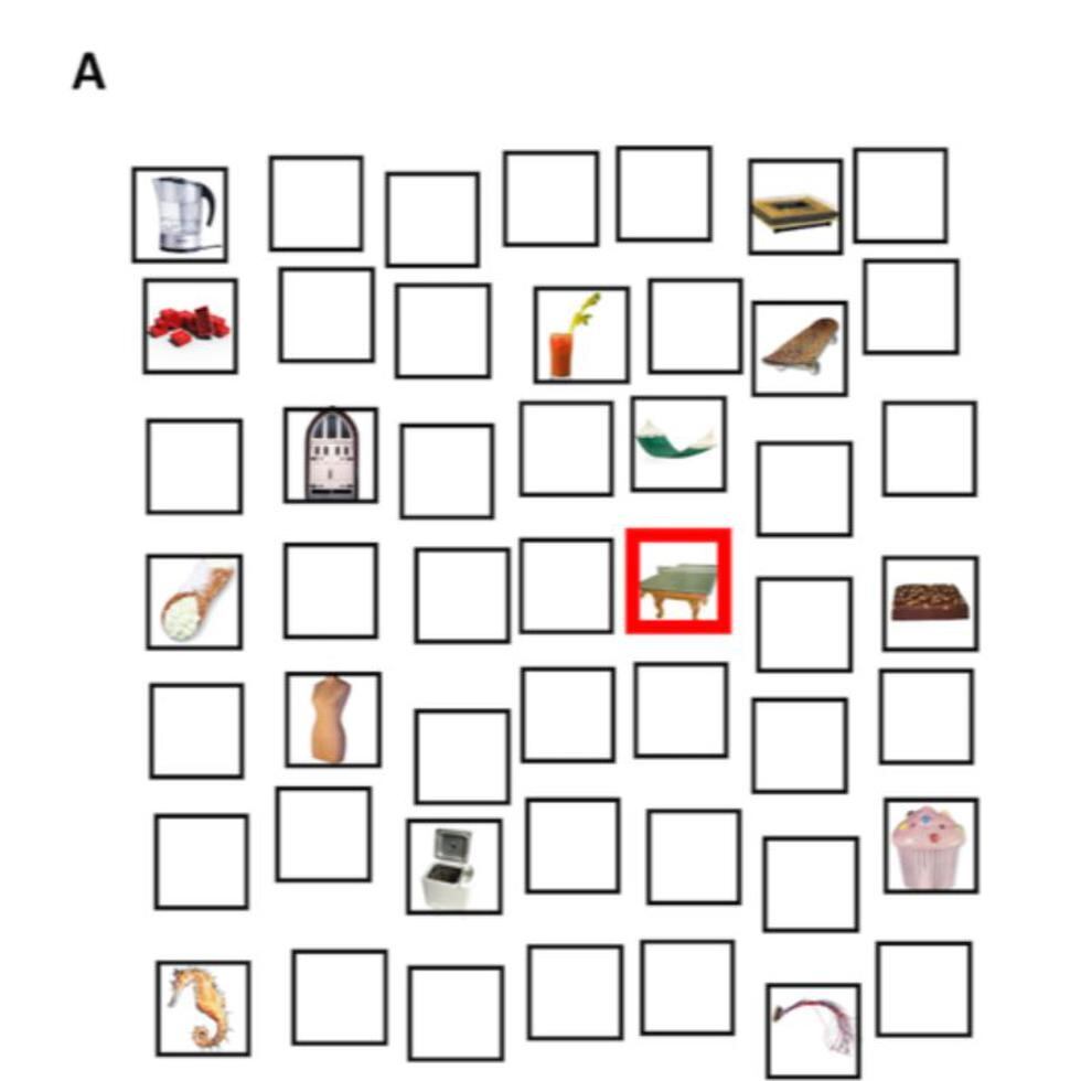Para llevar a cabo su estudio, el equipo pidió a los participantes que recordaran una serie de objetos colocados en una cuadrícula de 7 por 7 en la que cada elemento se destacaba durante dos segundos con un cuadrado rojo a su alrededor.