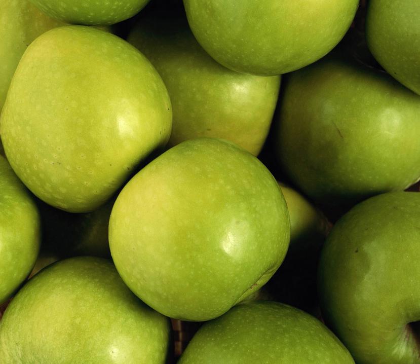 La Asociación Estatal de Árboles de Fruta calcula que se perdieron 95 millones de dólares en ventas porque las manzanas no pudieron embarcarse. (GFR Media)