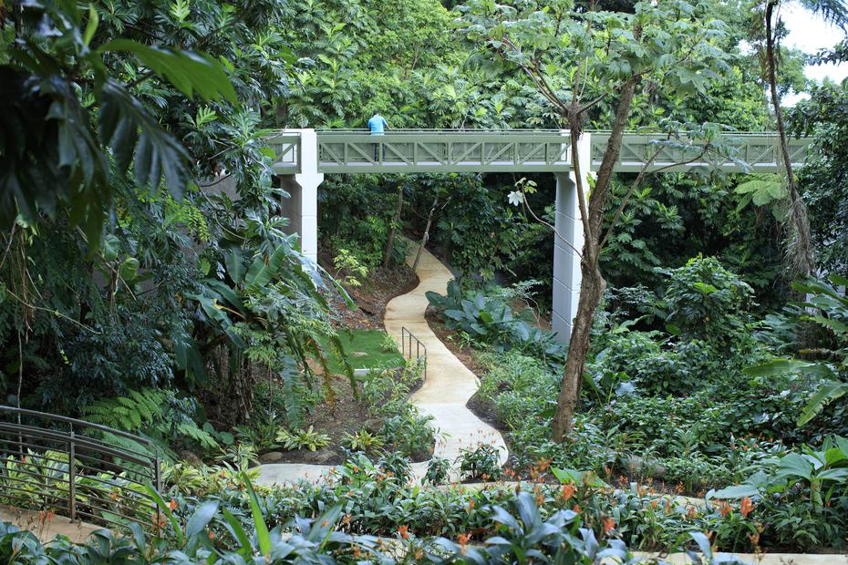 View of the sidewalks in the renovated El Yunque Forest Portal.